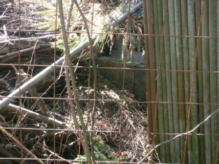 Lambertstr.2 53721 Siegburg Abfallbeseitigung finde ich nicht gut! siegburgaktuell